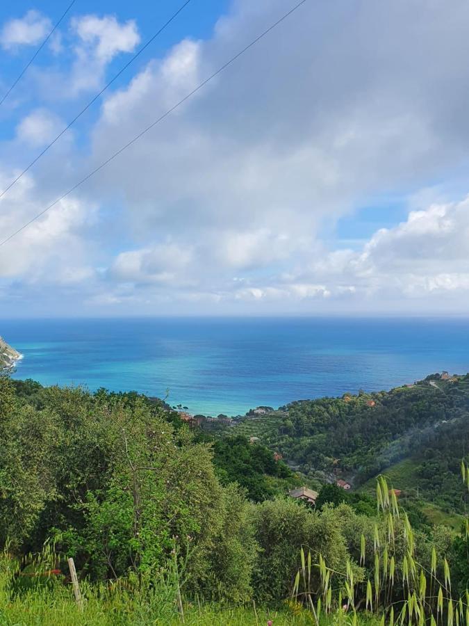 Ca Zelinda House Holiday Moneglia Exteriör bild