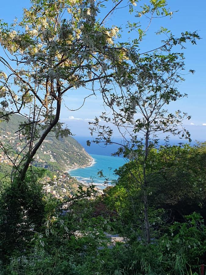 Ca Zelinda House Holiday Moneglia Exteriör bild