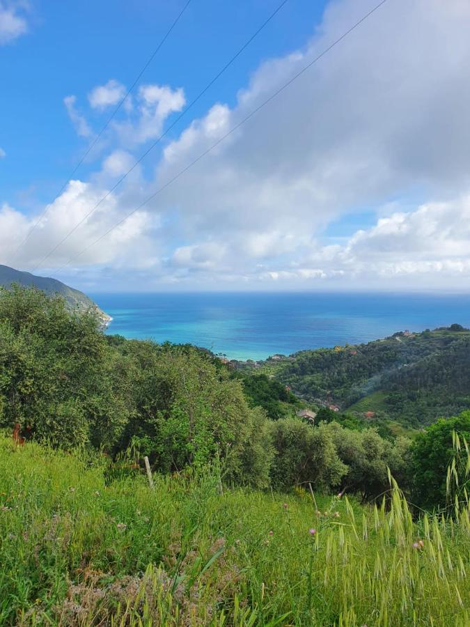 Ca Zelinda House Holiday Moneglia Exteriör bild
